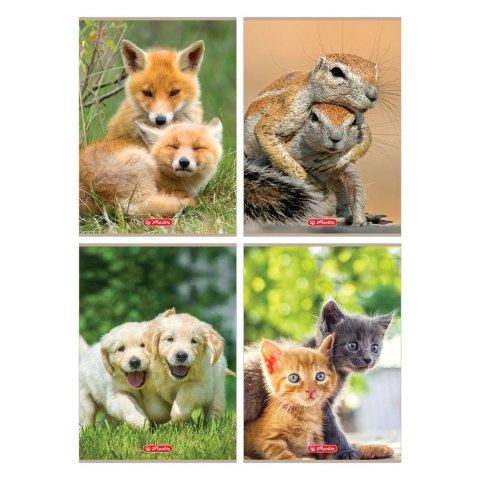 Zeszyt Herlitz Animals 9583097 A4 32k. 70g linia kolor (400197965) Zeszyt Herlitz Animals 9583097 A4 32k. 70g linia kolor (400197965)
