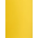 Brystol żółty ciemny B1 żółty 225g 1k Creatinio (400150257)