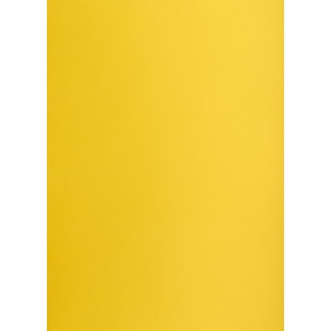 Brystol żółty ciemny B1 żółty 225g 1k Creatinio (400150257) Brystol żółty ciemny B1 żółty 225g 1k Creatinio (400150257)
