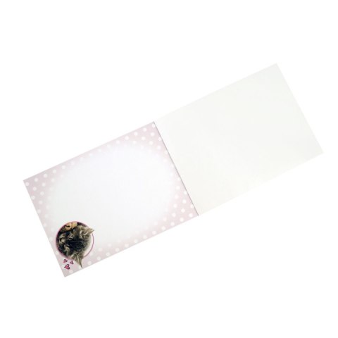 Notes Beniamin The Sweet Pets A6 30k. poddruk (2505) Notes Beniamin The Sweet Pets A6 30k. poddruk (2505)