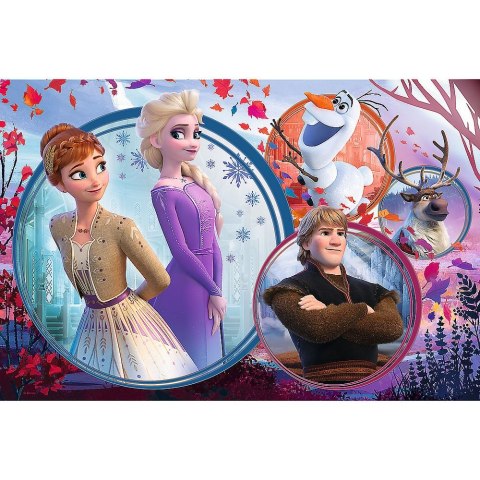 Puzzle Disney Frozen Ii Siostrzana przygoda 160 el. Trefl (15374)