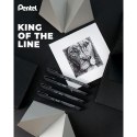 Cienkopis POINTLINER czarne mixmm 1kol. Pentel (XBLW355C)