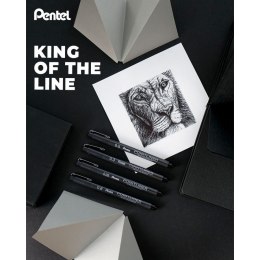 Cienkopis POINTLINER czarne mixmm 1kol. Pentel (XBLW355C)