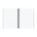 Kołozeszyt (kołobrulion) TOP-2000 SHADES B5 120k. 70g krata [mm:] 170x250 (400158939)
