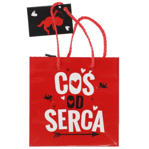 Torba prezentowa CD Torba prezentowa CD