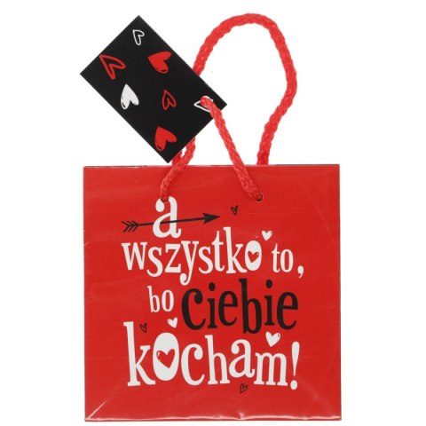 Torba prezentowa CD Torba prezentowa CD