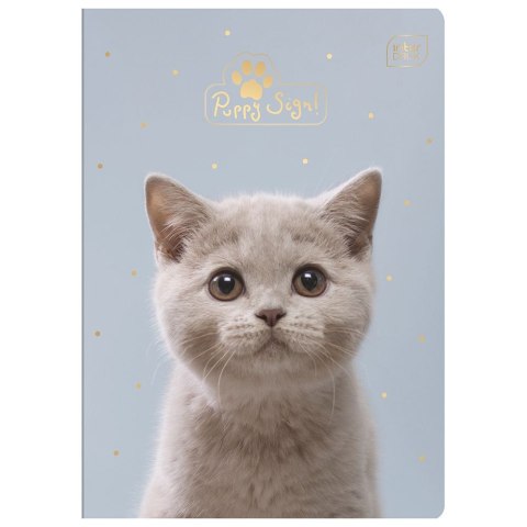 Zeszyt Puppy Sign A5 16k. 70g krata [mm:] 148x210 Interdruk (ZE16#PS)