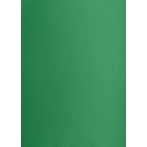 Brystol Creatinio zielony ciemny B1 zielony ciemny 225g 1k (400150269) Brystol Creatinio zielony ciemny B1 zielony ciemny 225g 1k (400150269)