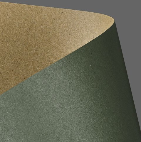 Papier ozdobny (wizytówkowy) Galeria Papieru kraft zielony A4 Zielony 275g (204414) Papier ozdobny (wizytówkowy) Galeria Papieru kraft zielony A4 Zielony 275g (204414)