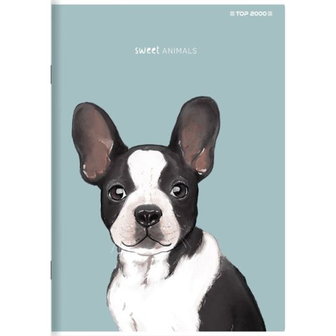 Zeszyt Top 2000 SWEET ANIMAL 400169467 A5 96k. 70g krata Zeszyt Top 2000 SWEET ANIMAL 400169467 A5 96k. 70g krata