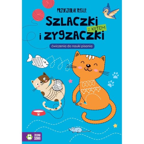Książeczka edukacyjna Zielona Sowa Przedszkolak rysuje. Szlaczki i zygzaczki z kotem Książeczka edukacyjna Zielona Sowa Przedszkolak rysuje. Szlaczki i zygzaczki z kotem