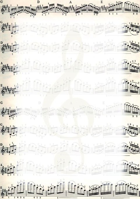 Dyplom Galeria Papieru Nuty A4 170g (213317) Dyplom Galeria Papieru Nuty A4 170g (213317)