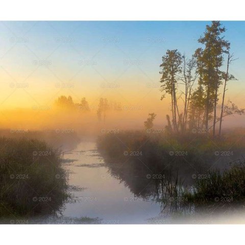 Kalendarz ścienny MAGICZNA POLSKA 13-planszowe 2024 320mm x 470mm Lucrum (RW02) Kalendarz ścienny MAGICZNA POLSKA 13-planszowe 2024 320mm x 470mm Lucrum (RW02)