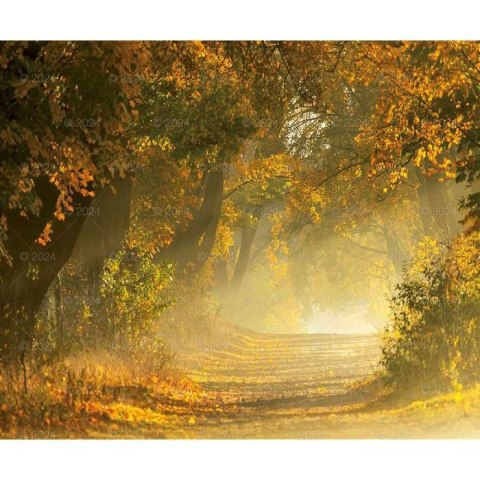 Kalendarz ścienny MAGICZNA POLSKA 13-planszowe 2024 320mm x 470mm Lucrum (RW02) Kalendarz ścienny MAGICZNA POLSKA 13-planszowe 2024 320mm x 470mm Lucrum (RW02)