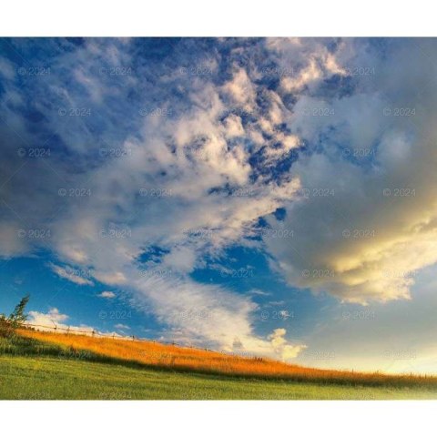 Kalendarz ścienny MAGICZNA POLSKA 13-planszowe 2024 320mm x 470mm Lucrum (RW02) Kalendarz ścienny MAGICZNA POLSKA 13-planszowe 2024 320mm x 470mm Lucrum (RW02)