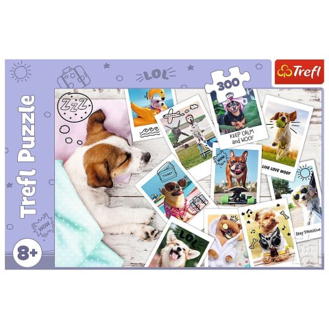 Puzzle Trefl Star Wars 300 el. (23003) Puzzle Trefl Star Wars 300 el. (23003)