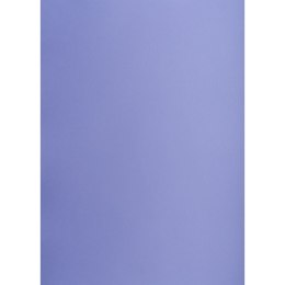 Brystol Creatinio A3 purpurowy 160g 25k [mm:] 297x420 (400150245)