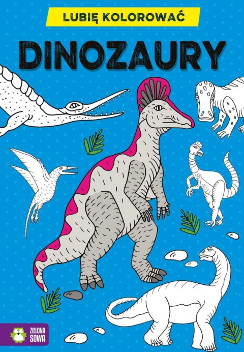 Książeczka edukacyjna Zielona Sowa Lubię kolorować. Dinozaury Książeczka edukacyjna Zielona Sowa Lubię kolorować. Dinozaury