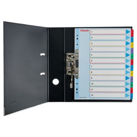 Przekładka numeryczna Esselte Mylar maxi A4 mix kolorów 160g 31k 1-31 (100210) Przekładka numeryczna Esselte Mylar maxi A4 mix kolorów 160g 31k 1-31 (100210)