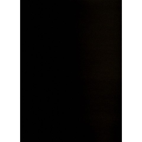 Brystol CZARNY B2 CZARNY 225g 25k Creatinio (400150325)