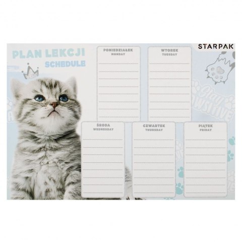 Plan lekcji Starpak Kot (536137) Plan lekcji Starpak Kot (536137)