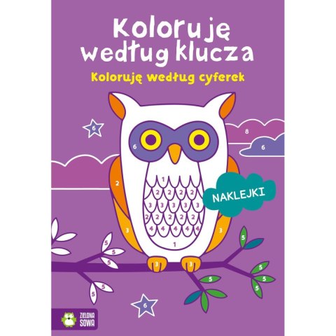 Książeczka edukacyjna Zielona Sowa Koloruję według klucza. Koloruję według cyferek Książeczka edukacyjna Zielona Sowa Koloruję według klucza. Koloruję według cyferek