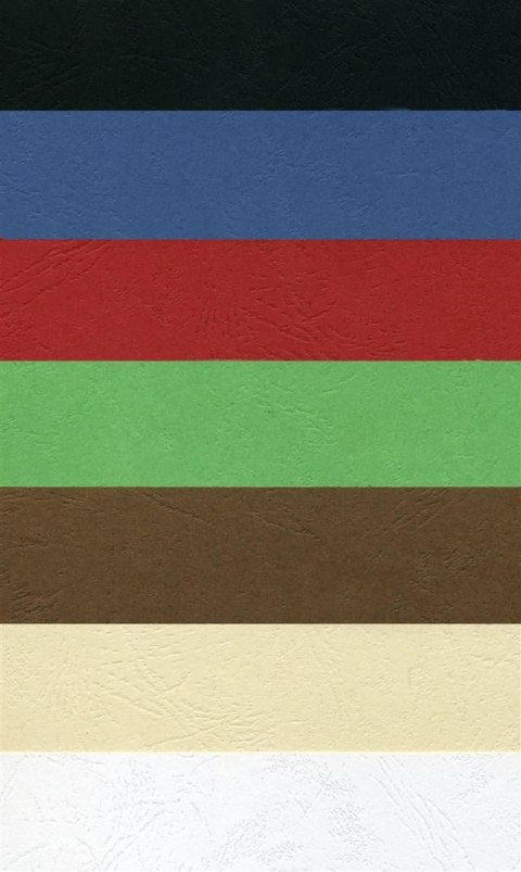 Karton do bindowania Argo Delta skóropodobny A4 kość słoniowa 250g (407121) Karton do bindowania Argo Delta skóropodobny A4 kość słoniowa 250g (407121)