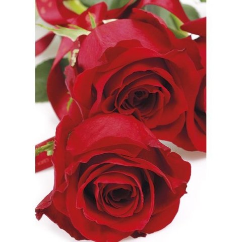 Bileciki do upominków, prezentów, kwiatów Pol-Mak 55 x 77 mm mix wzorów Bileciki do upominków, prezentów, kwiatów Pol-Mak 55 x 77 mm mix wzorów