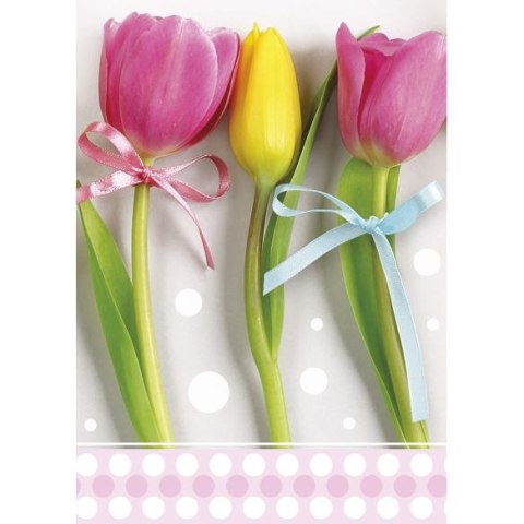 Bileciki do upominków, prezentów, kwiatów Pol-Mak 55 x 77 mm mix wzorów Bileciki do upominków, prezentów, kwiatów Pol-Mak 55 x 77 mm mix wzorów