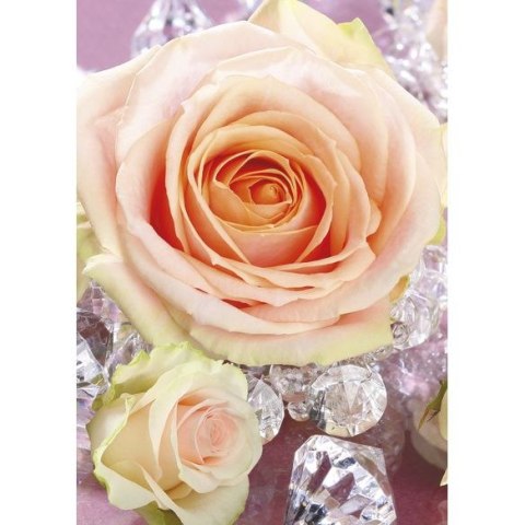 Bileciki do upominków, prezentów, kwiatów Pol-Mak 55 x 77 mm mix wzorów Bileciki do upominków, prezentów, kwiatów Pol-Mak 55 x 77 mm mix wzorów