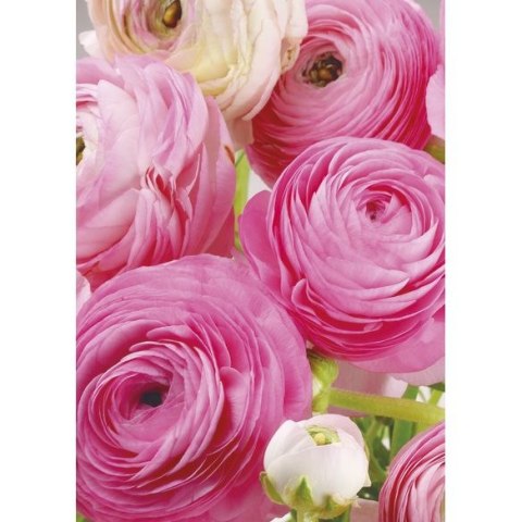 Bileciki do upominków, prezentów, kwiatów Pol-Mak 55 x 77 mm mix wzorów Bileciki do upominków, prezentów, kwiatów Pol-Mak 55 x 77 mm mix wzorów