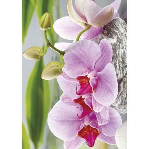 Bileciki do upominków, prezentów, kwiatów Pol-Mak 55 x 77 mm mix wzorów Bileciki do upominków, prezentów, kwiatów Pol-Mak 55 x 77 mm mix wzorów