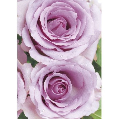 Bileciki do upominków, prezentów, kwiatów Pol-Mak 55 x 77 mm mix wzorów Bileciki do upominków, prezentów, kwiatów Pol-Mak 55 x 77 mm mix wzorów