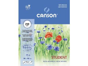 Blok artystyczny Canson Student A3 250g 10k 300 mm x 400 mm (200005507)