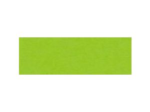 Papier kolorowy Happy Color Joy A4 - zielony jasny 160 g (2130-50)