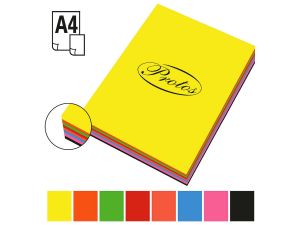 Wkład papierowy Protos wkład kolor A4 200k.