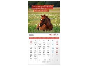 Kalendarz ścienny Kukartka classic Q Konie