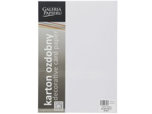Papier ozdobny (wizytówkowy) Galeria Papieru gładki biały A4 - biały 160 g (202821)