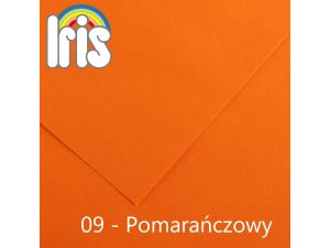 Brystol Canson Iris 09 A3 pomarańczowy 185g 50k 297 mm x 420 mm (200040188)