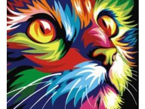 Zestaw kreatywny Norimpex malowanie po numerach - kot kolor (NO-1005582)