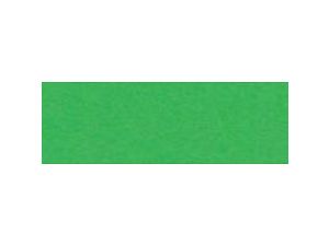 Papier kolorowy Happy Color Joy A4 - zielony 160 g (2130-5)