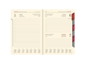 Kalendarz książkowy (terminarz) Lucrum terminarz A5 145mm x 205mm (21DR-79 mix)