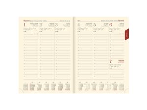 Kalendarz książkowy (terminarz) Lucrum Vivella terminarz B5 (51T-V)