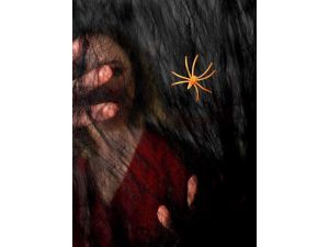 Ozdoba halloweenowa Arpex Czarna pajęczyna z pająkiem (HA7957)